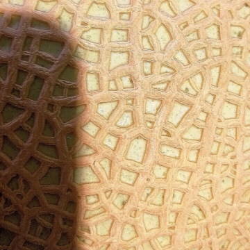 melon pattern japan elena brunello